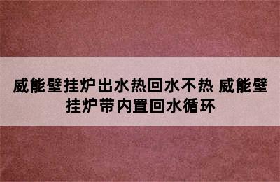 威能壁挂炉出水热回水不热 威能壁挂炉带内置回水循环